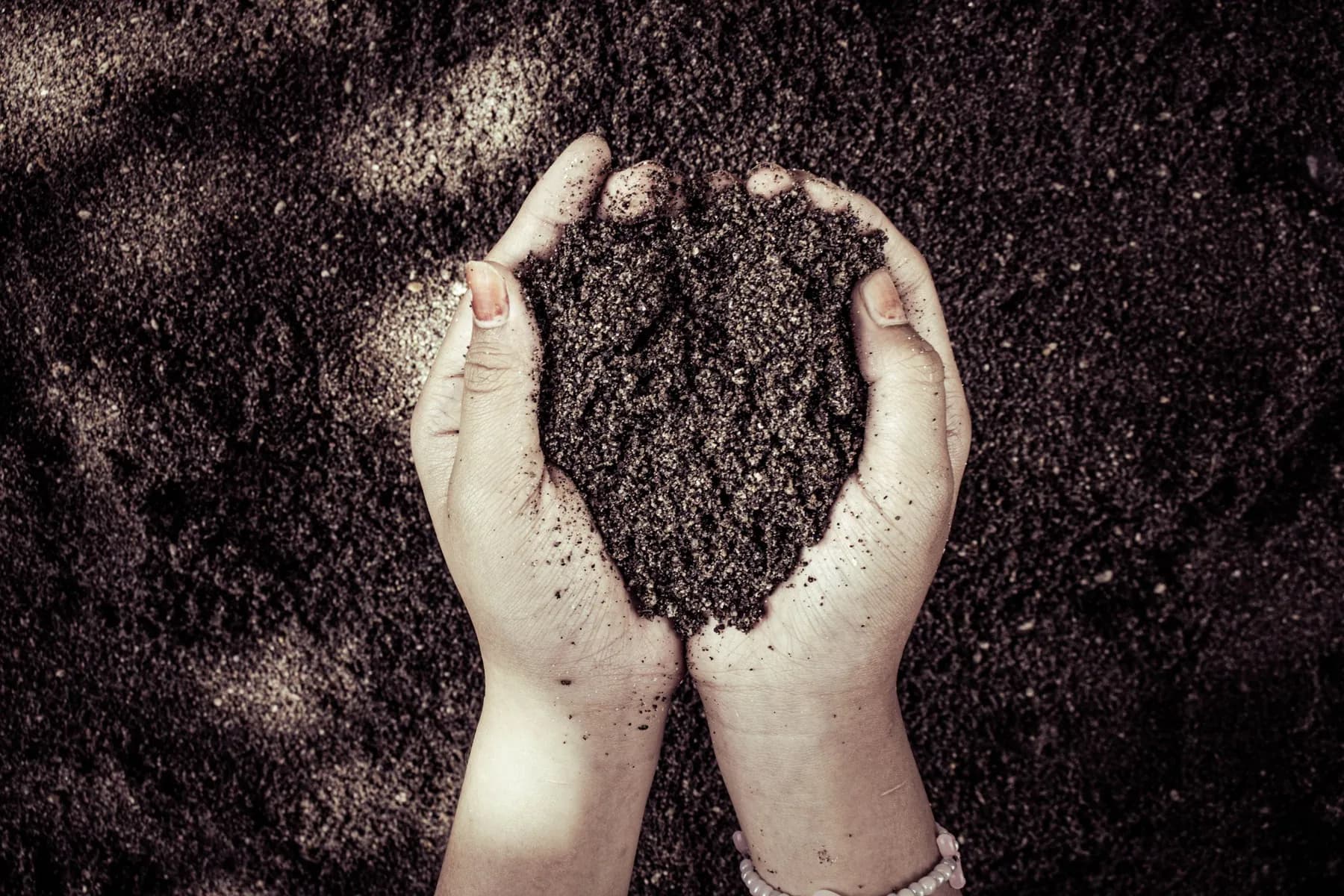Two cupped hands holding dark, crumbly soil