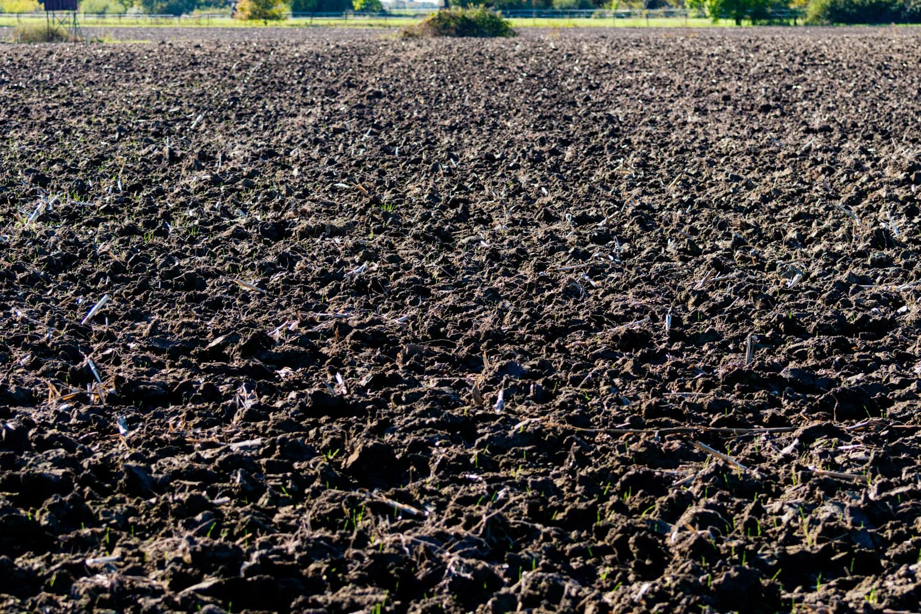 Freshly tilled dark brown soil across a prepared field