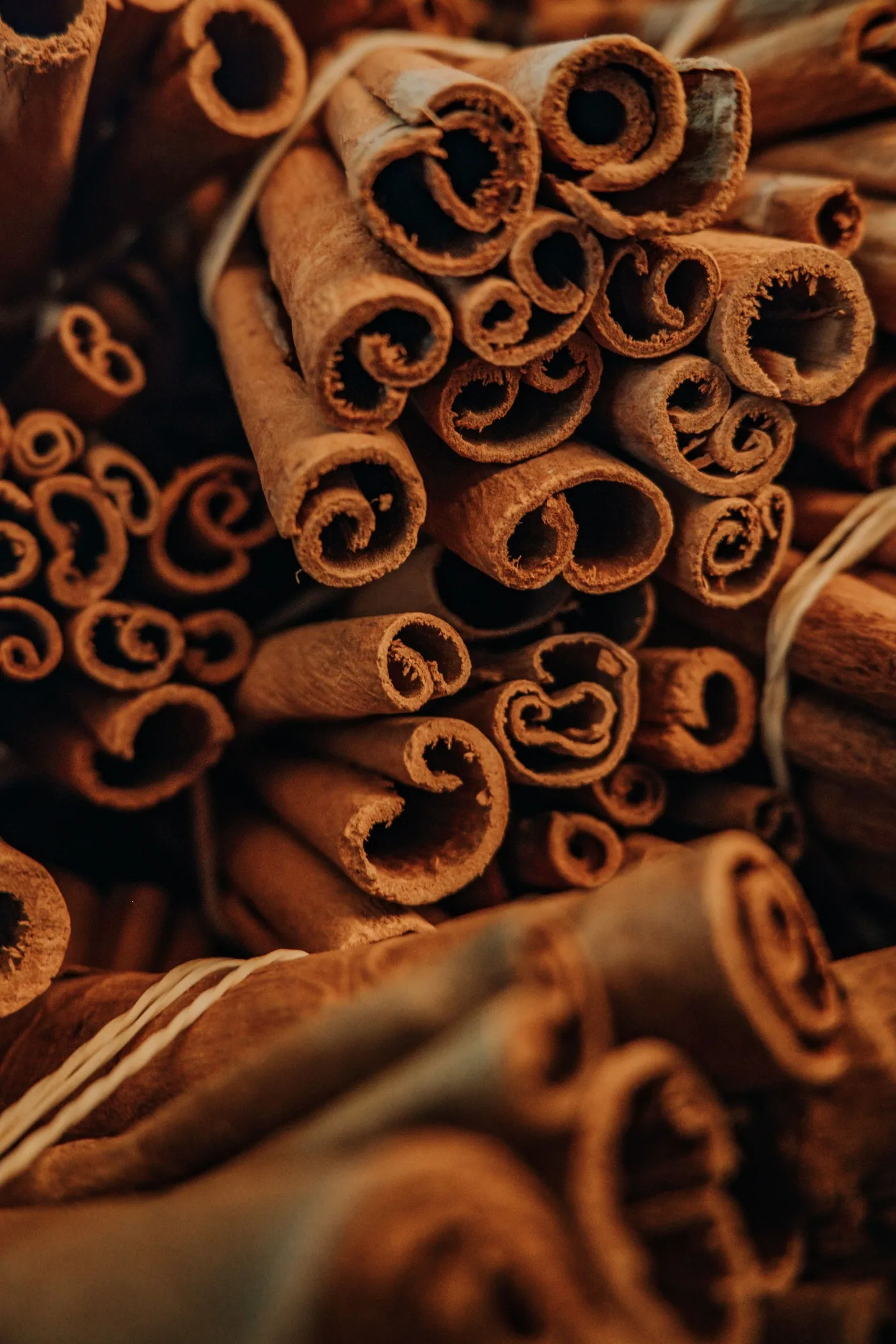 Bundled cinnamon quills