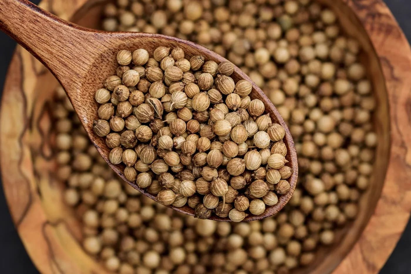 Coriander seed
