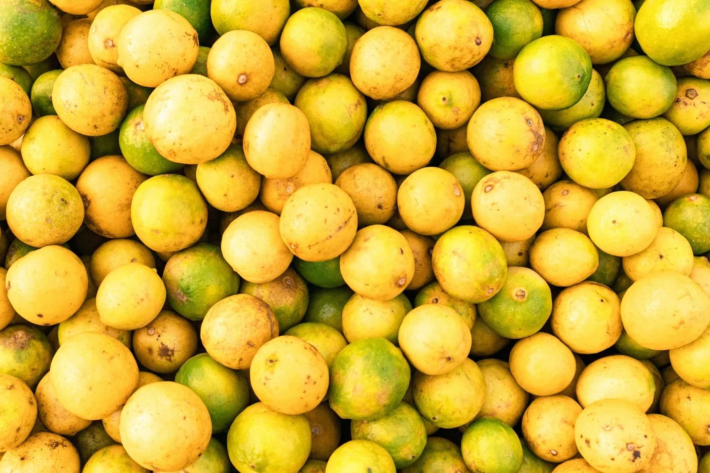 A heap of harvested lemons, yellow turning from green